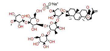 Calcigeroside C1